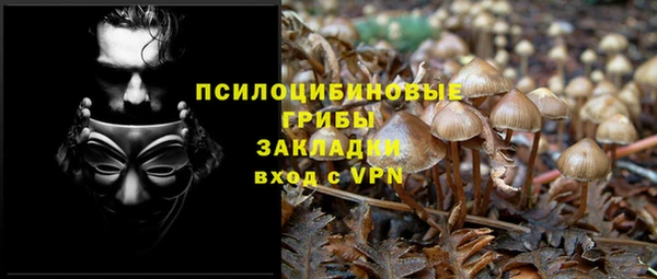 скорость Елизово